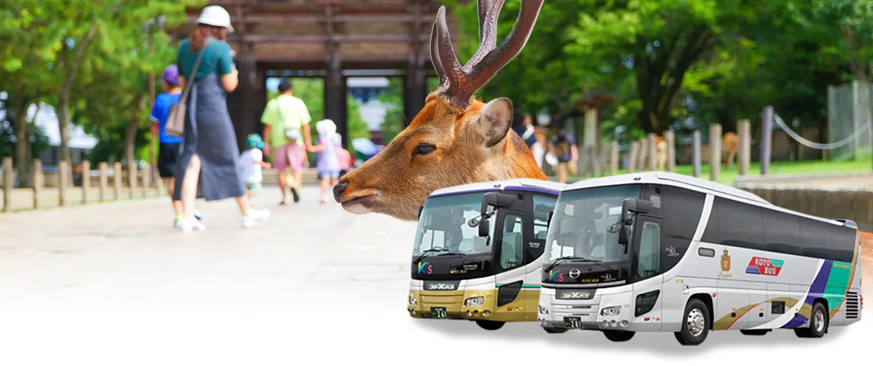 奈良の貸切バスはお任せください