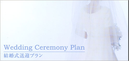 Wedding Ceremony Plan }v
