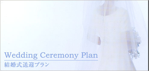 Wedding Ceremony Plan }v
