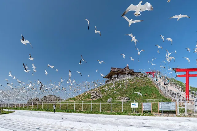 八戸市の蕪島