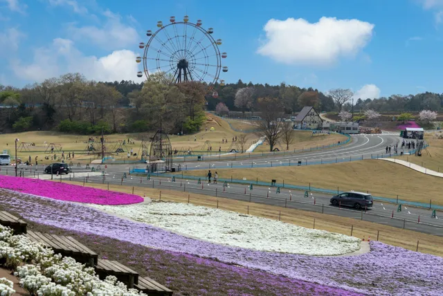 東京ドイツ村