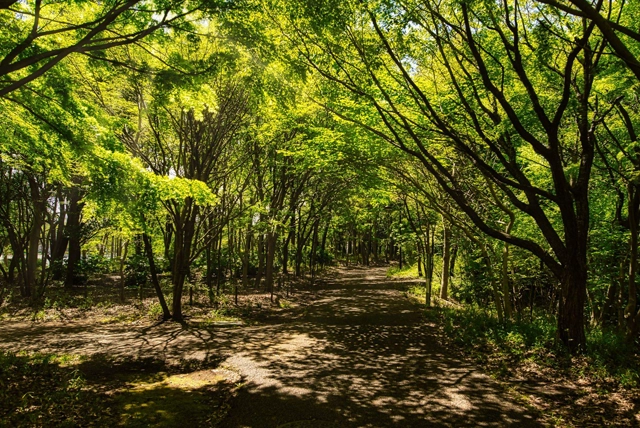 北総花の丘公園