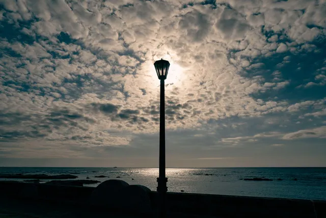 道の駅 ちくら潮風王国