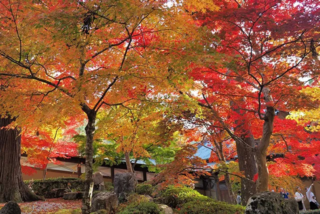 永源寺