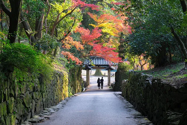 興聖寺