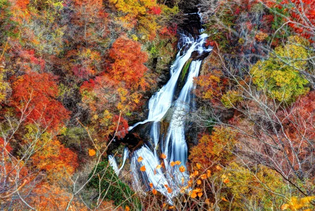 霧降高原