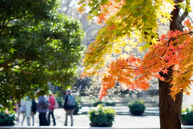 船橋アンデルセン公園