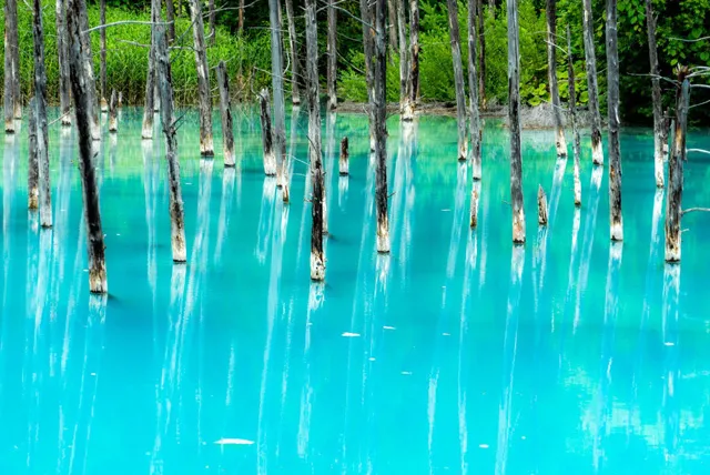 青い池