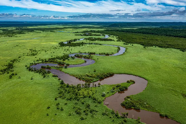 釧路湿原