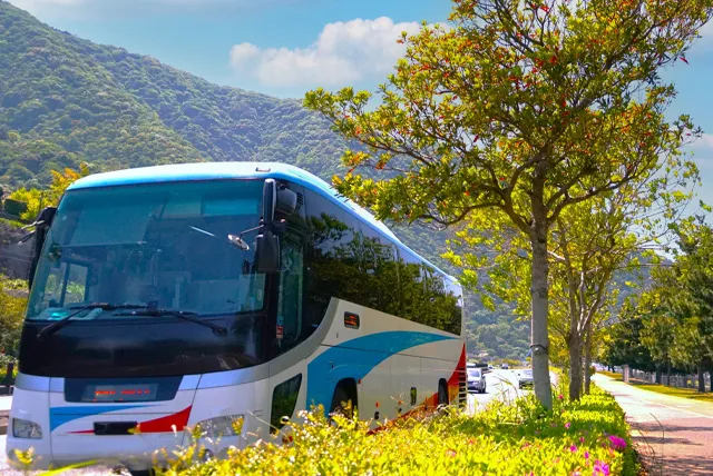 山道を走る大型バス