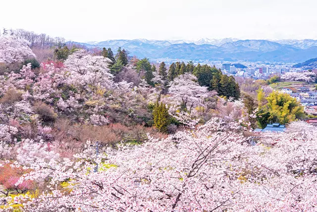 花見山公園