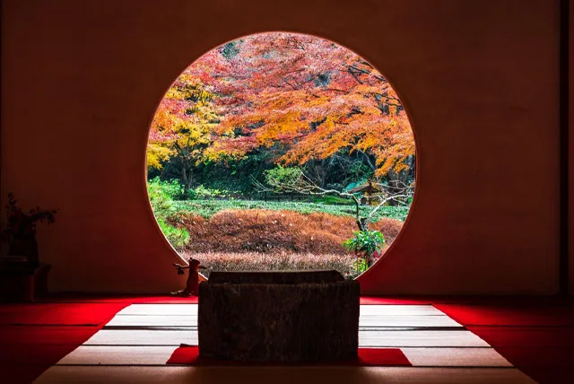 明月院(あじさい寺)