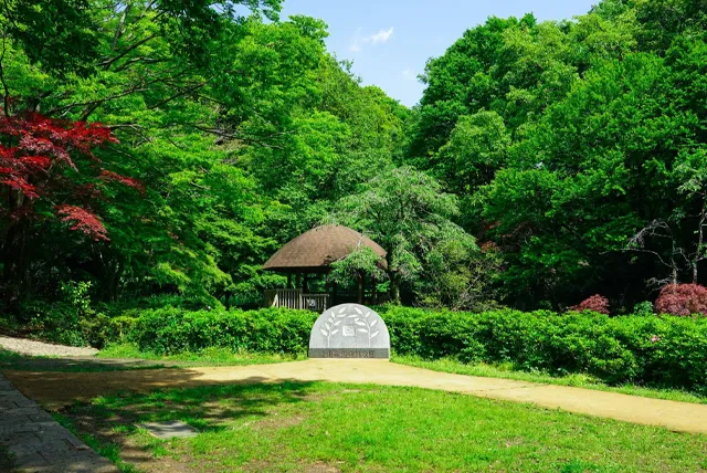 東高根森林公園