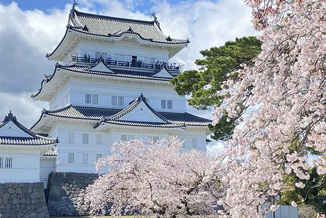 小田原城