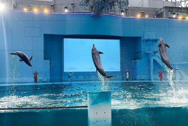 横浜・八景島シーパラダイス