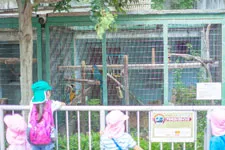 京都の動物園