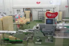 工場見学の様子