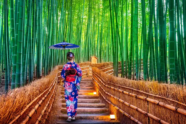 嵯峨野の竹林を散策する着物の女性