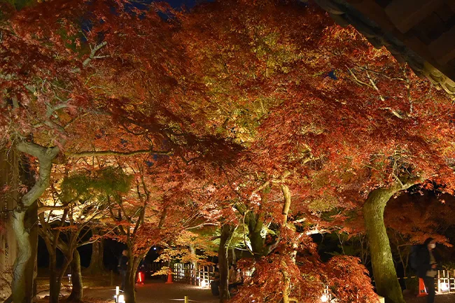 東福寺