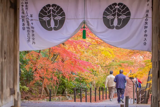 嵐山の寺院