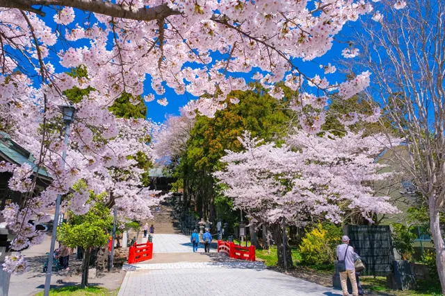 仙台東照宮