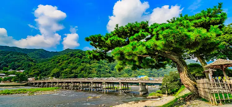 渡月橋