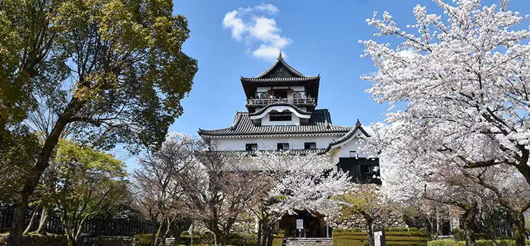 国宝犬山城