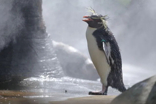 名古屋市東山動植物園
