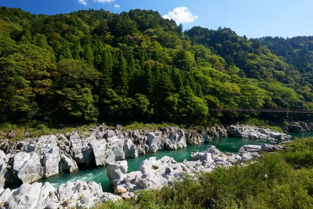中山七里