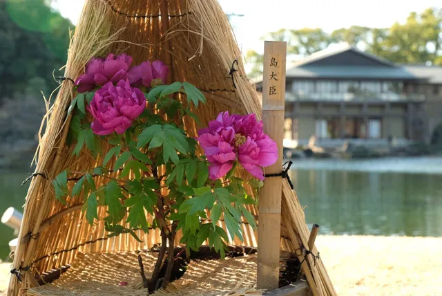 名古屋の文化施設