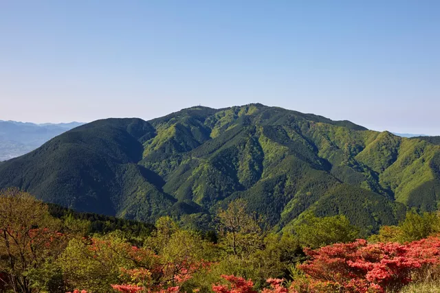 金剛山