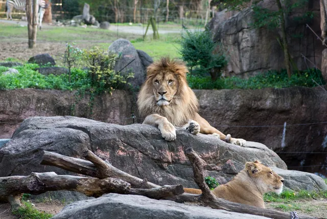 天王寺動物園