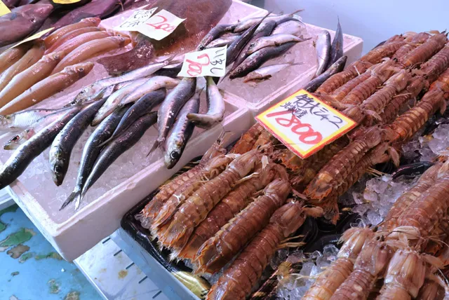 泉佐野漁港の海鮮