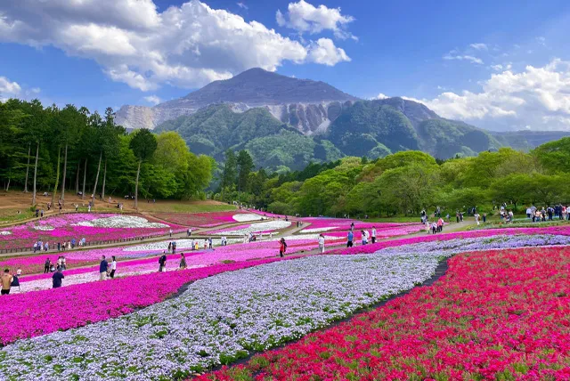秩父の自然公園