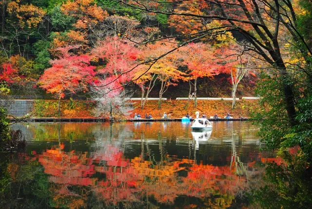 埼玉の紅葉