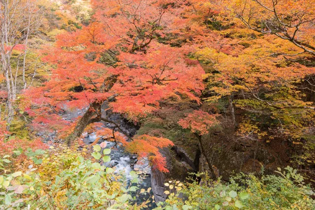 中津峡