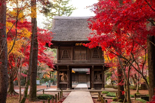 平林寺