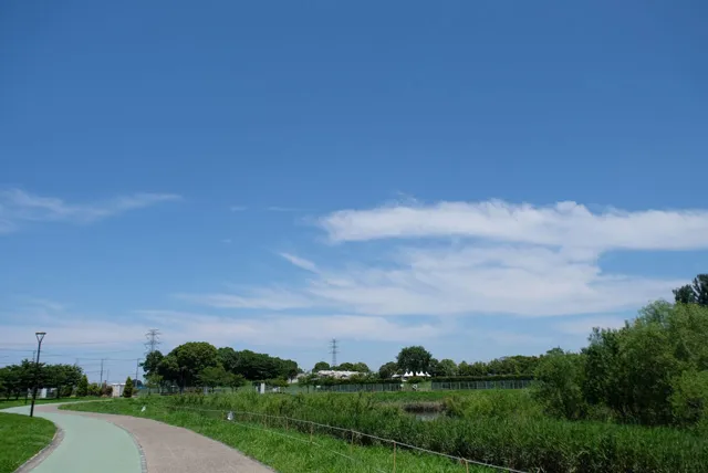 しらこばと水上公園