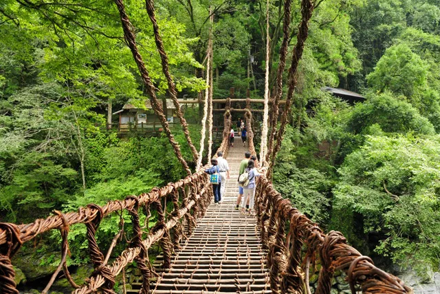 祖谷のかずら橋