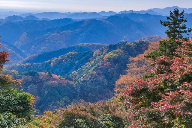 高尾山