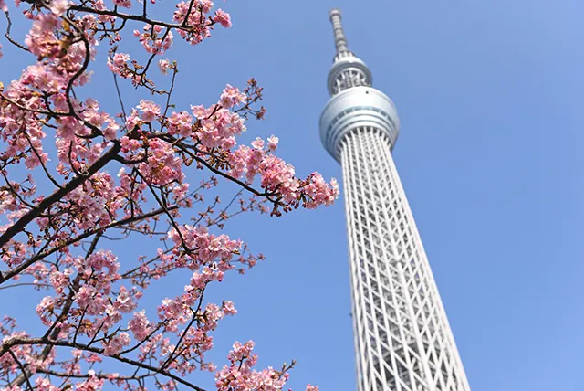 東京スカイツリー