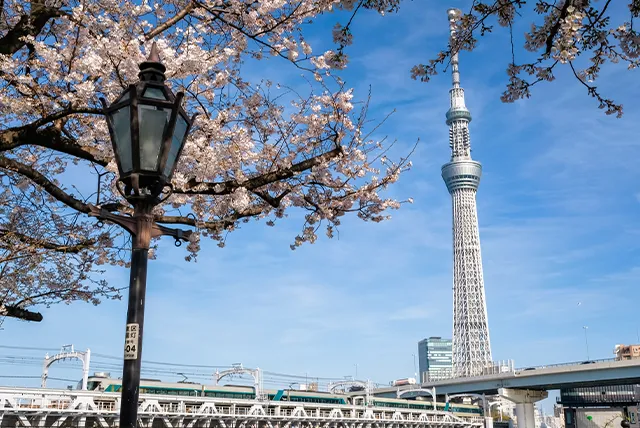 東京スカイツリー