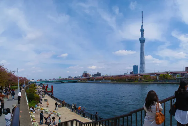 隅田川から見た東京スカイツリー