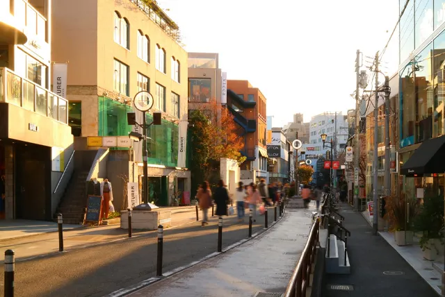 キャットストリート