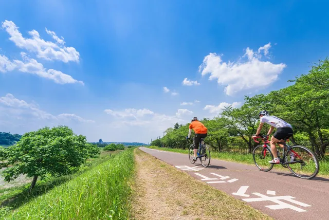 多摩川のサイクリングロード