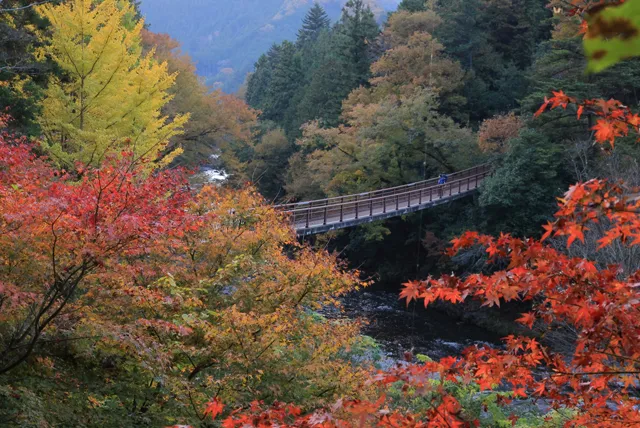 紅葉した秋川渓谷