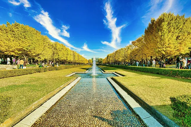 国営昭和記念公園