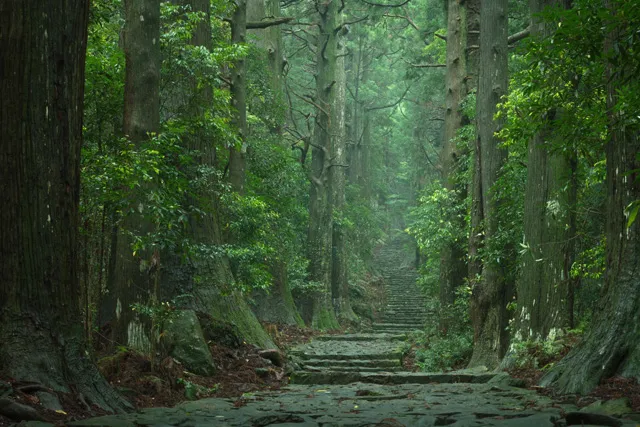 熊野古道