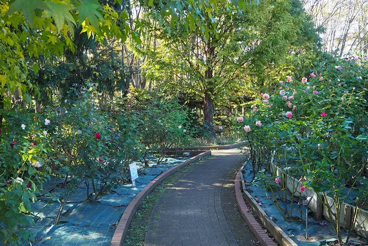 智光山公園