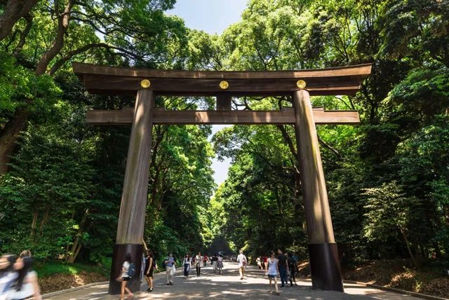 明治神宮の鳥居